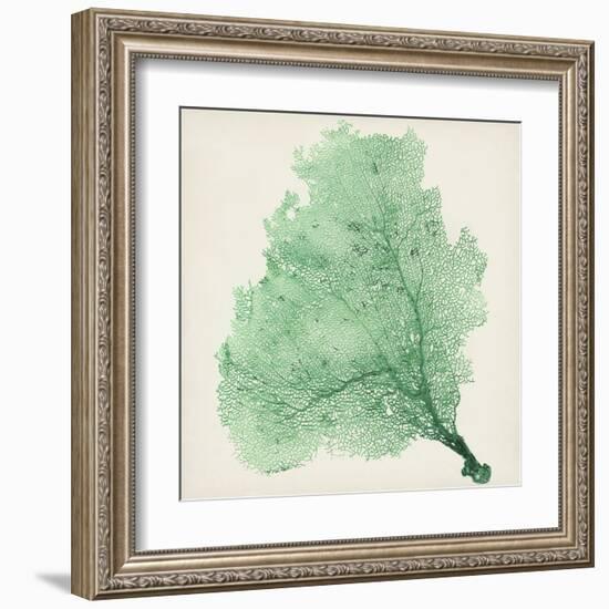 Sea Fan VII-Vision Studio-Framed Art Print