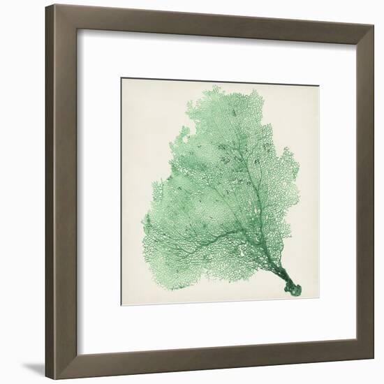 Sea Fan VII-Vision Studio-Framed Art Print