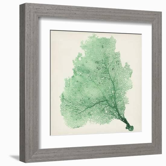 Sea Fan VII-Vision Studio-Framed Art Print