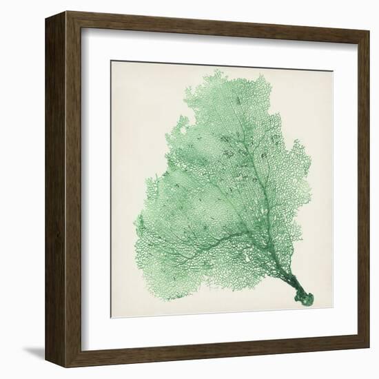 Sea Fan VII-Vision Studio-Framed Art Print