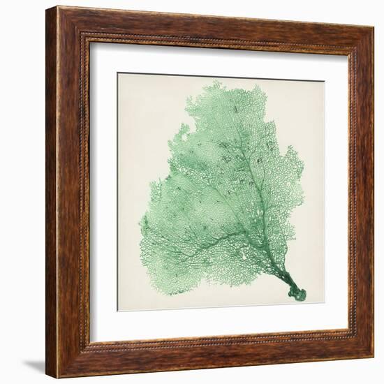 Sea Fan VII-Vision Studio-Framed Art Print