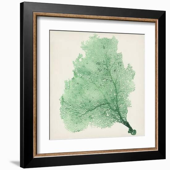 Sea Fan VII-Vision Studio-Framed Art Print