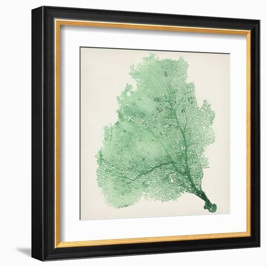 Sea Fan VII-Vision Studio-Framed Art Print