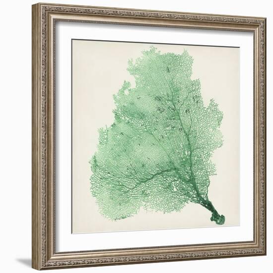 Sea Fan VII-Vision Studio-Framed Art Print