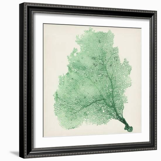 Sea Fan VII-Vision Studio-Framed Art Print