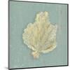 Sea Fan-Lisa Danielle-Mounted Art Print