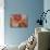 Sea Fan-Caroline Ashwood-Giclee Print displayed on a wall