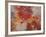 Sea Fan-Caroline Ashwood-Framed Giclee Print