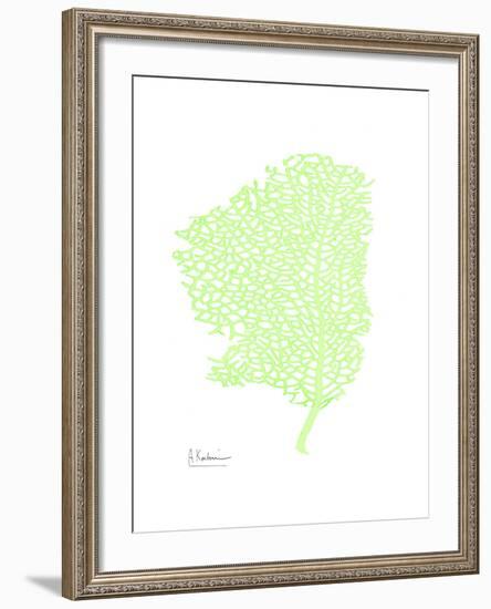 Sea Fan-Albert Koetsier-Framed Art Print