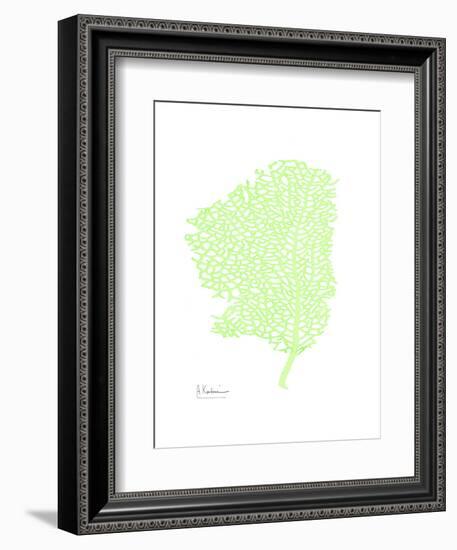 Sea Fan-Albert Koetsier-Framed Art Print