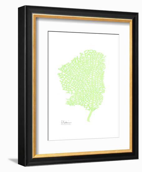 Sea Fan-Albert Koetsier-Framed Art Print