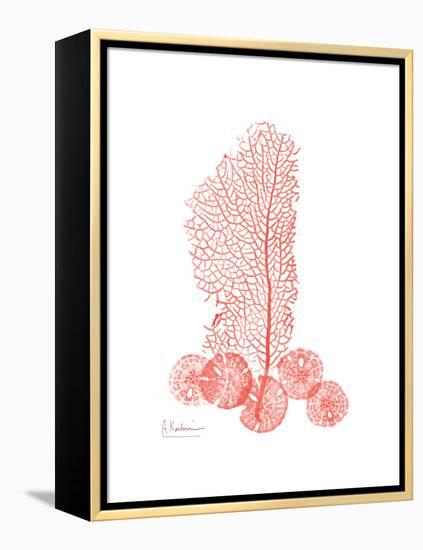 Sea Fan-Albert Koetsier-Framed Stretched Canvas