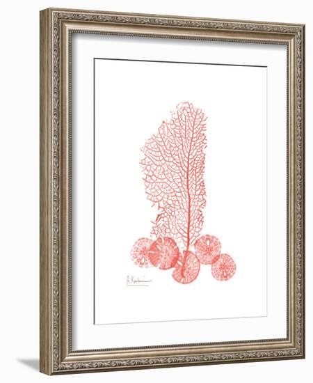 Sea Fan-Albert Koetsier-Framed Premium Giclee Print