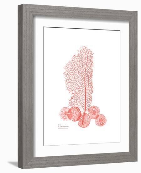 Sea Fan-Albert Koetsier-Framed Premium Giclee Print