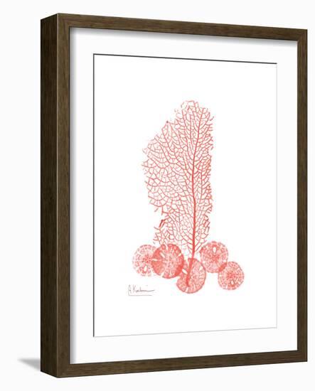 Sea Fan-Albert Koetsier-Framed Premium Giclee Print