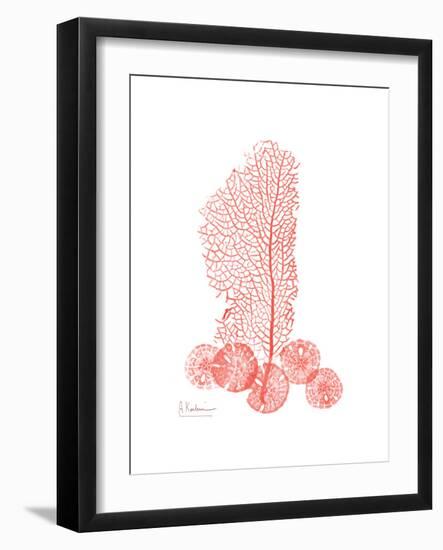 Sea Fan-Albert Koetsier-Framed Premium Giclee Print