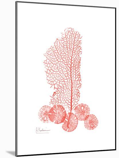 Sea Fan-Albert Koetsier-Mounted Premium Giclee Print