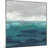 Sea Foam Vista II-June Vess-Mounted Art Print