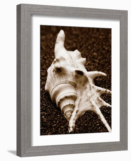 Sea Gallery I-Boyce Watt-Framed Art Print