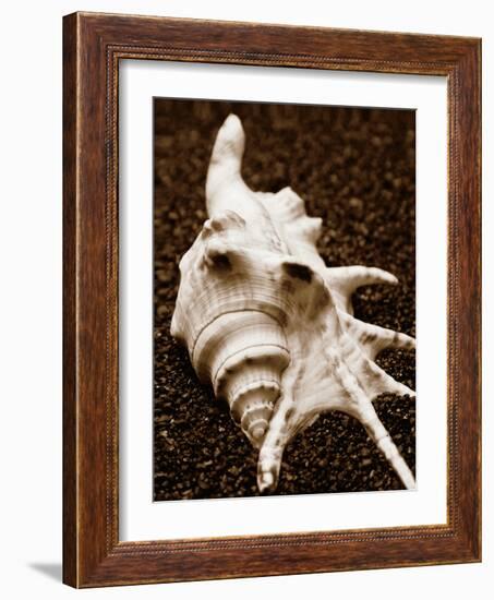 Sea Gallery I-Boyce Watt-Framed Art Print