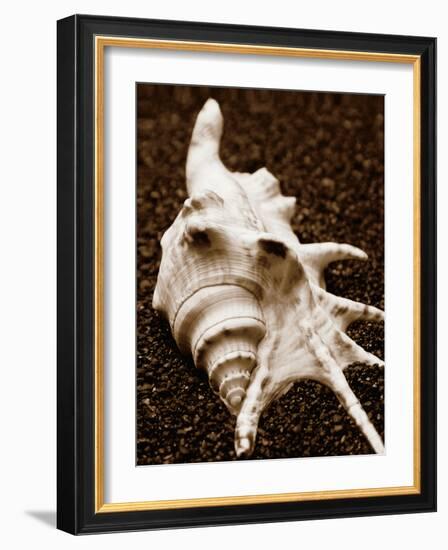 Sea Gallery I-Boyce Watt-Framed Art Print