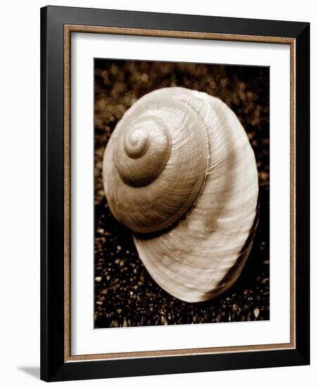 Sea Gallery II-Boyce Watt-Framed Art Print