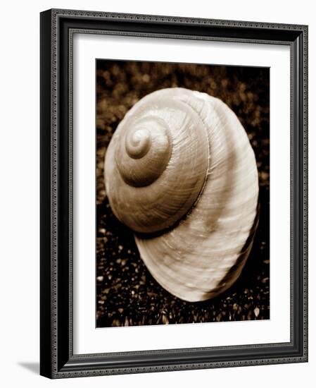 Sea Gallery II-Boyce Watt-Framed Art Print