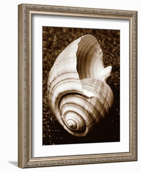 Sea Gallery IV-Boyce Watt-Framed Art Print