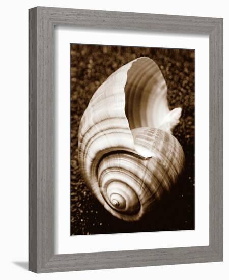 Sea Gallery IV-Boyce Watt-Framed Art Print