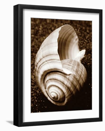 Sea Gallery IV-Boyce Watt-Framed Art Print