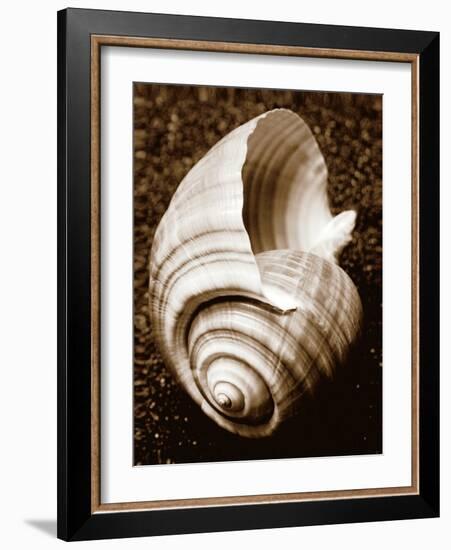 Sea Gallery IV-Boyce Watt-Framed Art Print