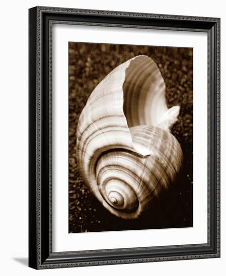 Sea Gallery IV-Boyce Watt-Framed Art Print