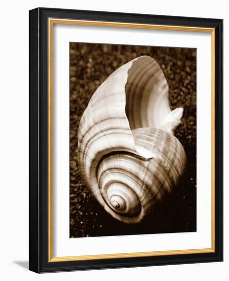 Sea Gallery IV-Boyce Watt-Framed Art Print