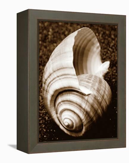 Sea Gallery IV-Boyce Watt-Framed Stretched Canvas