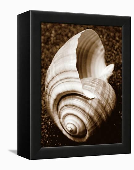 Sea Gallery IV-Boyce Watt-Framed Stretched Canvas