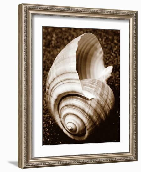 Sea Gallery IV-Boyce Watt-Framed Art Print