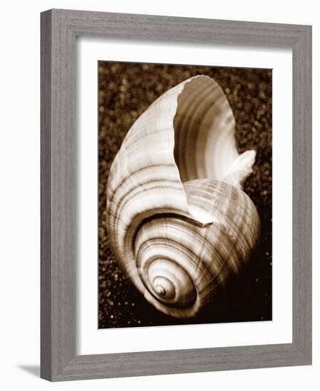 Sea Gallery IV-Boyce Watt-Framed Art Print