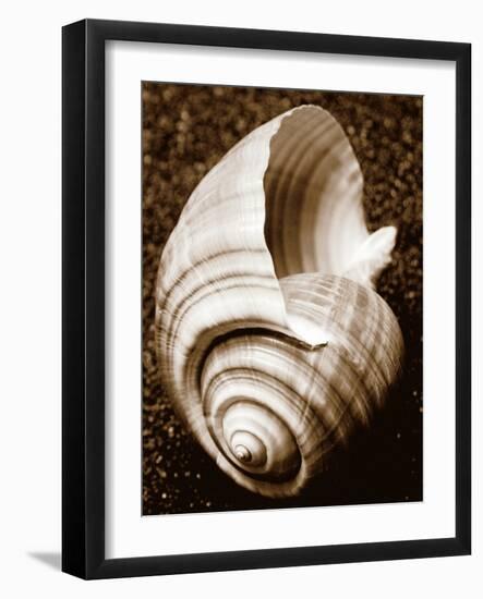 Sea Gallery IV-Boyce Watt-Framed Art Print