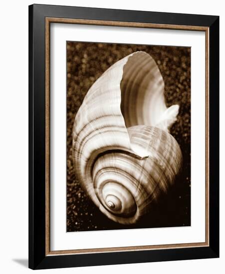 Sea Gallery IV-Boyce Watt-Framed Art Print