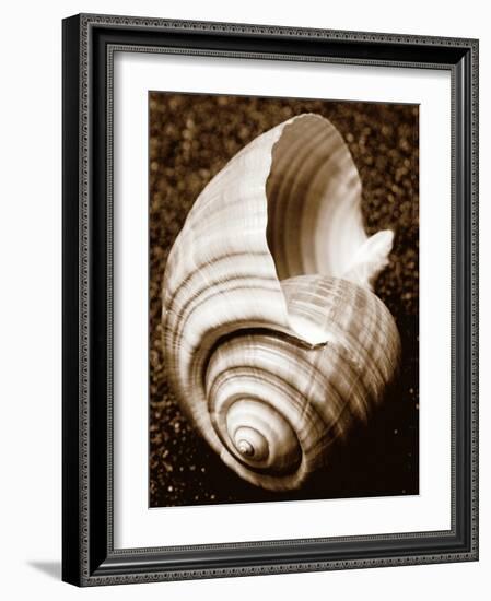 Sea Gallery IV-Boyce Watt-Framed Art Print