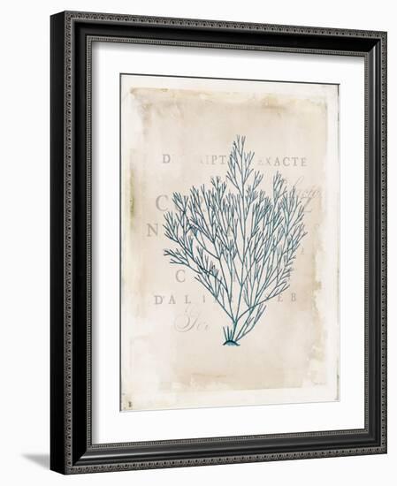 Sea Garden II-Katie Pertiet-Framed Art Print