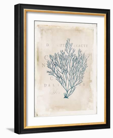 Sea Garden II-Katie Pertiet-Framed Art Print