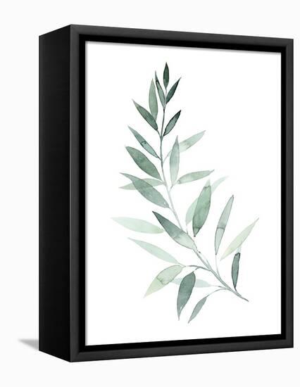 Sea Glass Sprig I-Grace Popp-Framed Stretched Canvas