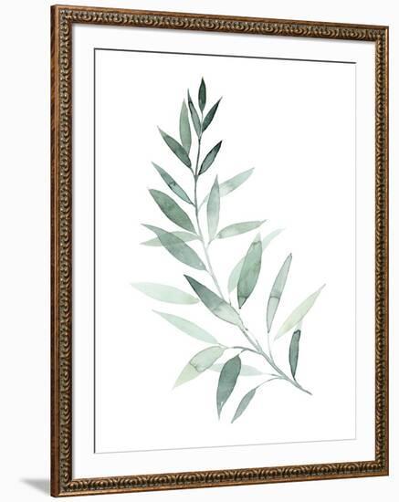 Sea Glass Sprig I-Grace Popp-Framed Art Print