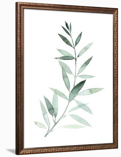 Sea Glass Sprig II-Grace Popp-Framed Art Print