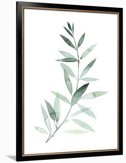 Sea Glass Sprig II-Grace Popp-Framed Art Print