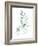 Sea Glass Sprig II-Grace Popp-Framed Art Print