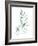 Sea Glass Sprig II-Grace Popp-Framed Art Print