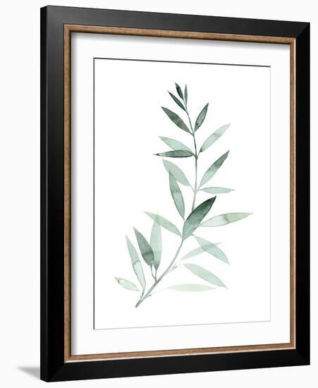 Sea Glass Sprig II-Grace Popp-Framed Art Print