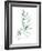 Sea Glass Sprig II-Grace Popp-Framed Art Print